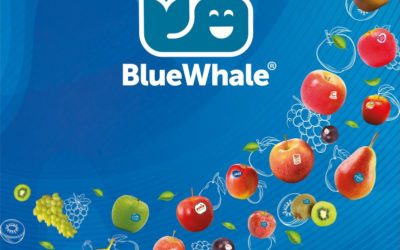 PLANIFICATEUR ORDONNANCEUR (H/F) | Dép. 82| Réf. PO82